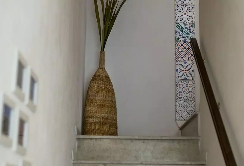 Zammu Bed And Breakfast