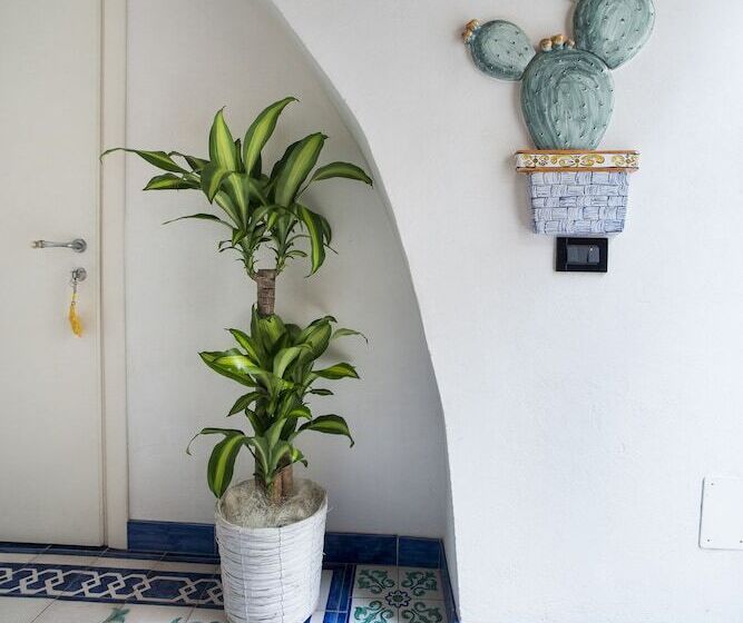 Zammu Bed And Breakfast