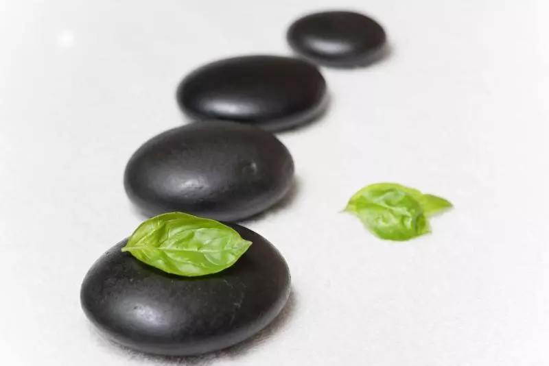 Paihia Beach Resort & Spa