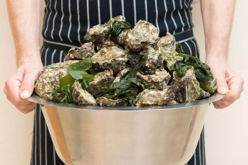 Paihia Beach Resort & Spa