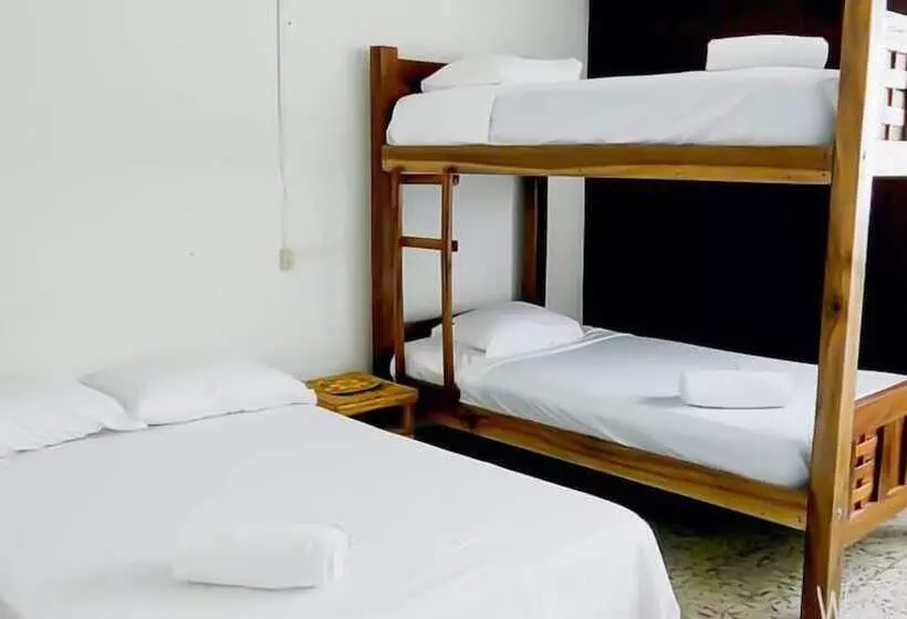 ユースホステル Hostal Liwa Kashi