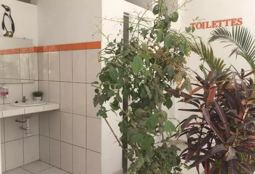 Retkeilymaja Paracas Backpackers House