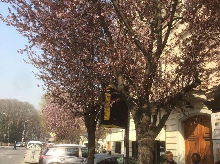 B&b La Casa Di Arturo