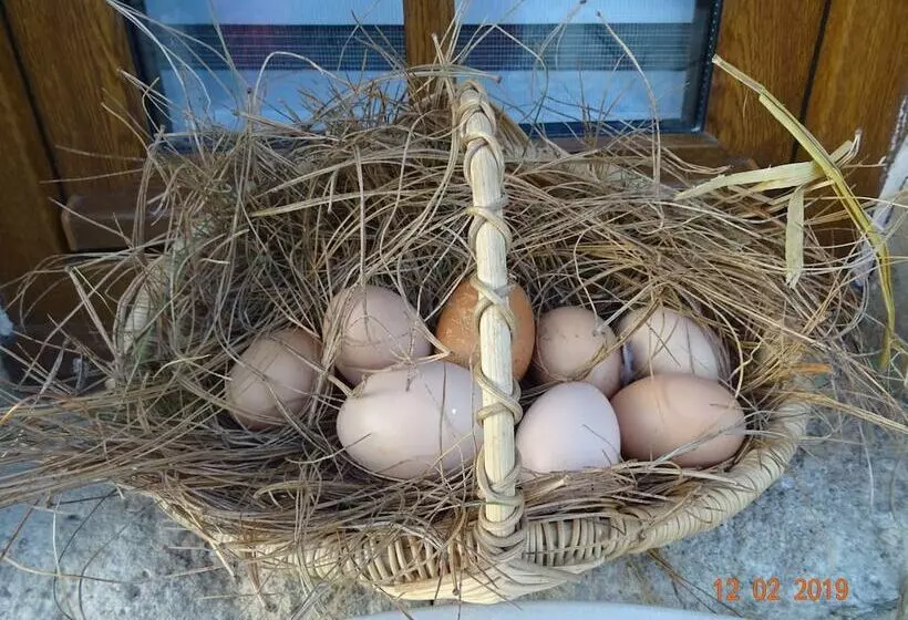 Aamiaismajoitus (B&B) La Ferme Aux Chats