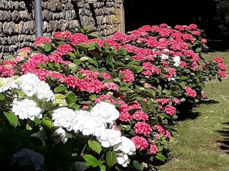 住宿加早餐 Le Bois De Ré