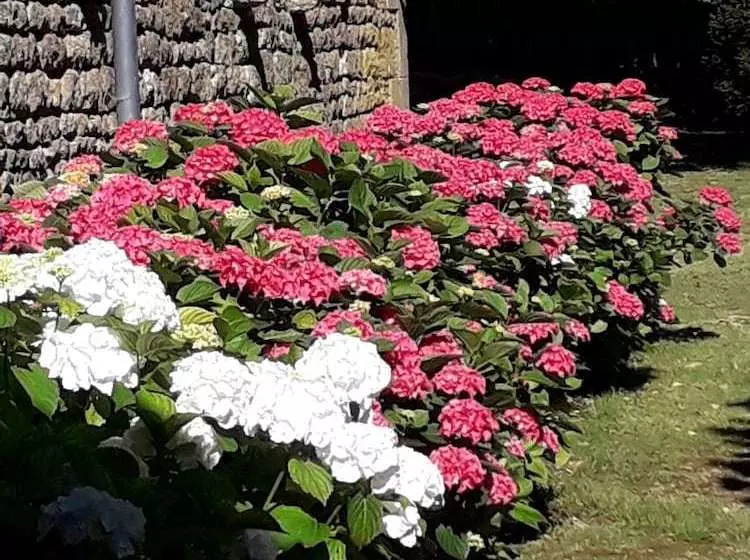 تختخواب و صبحانه Le Bois De Ré
