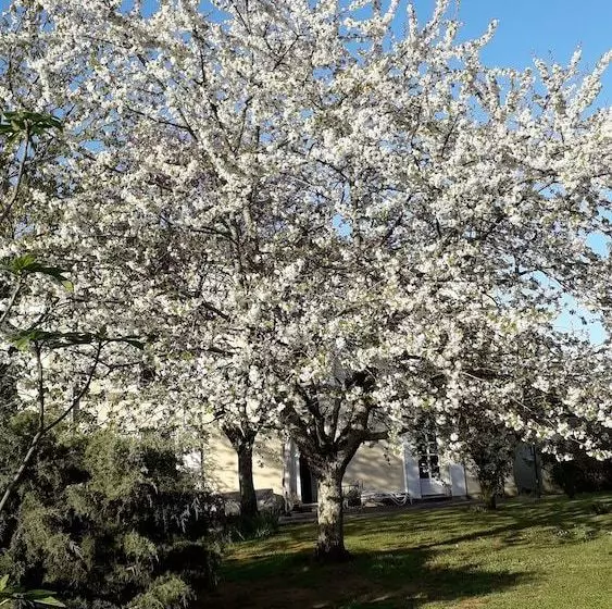 تختخواب و صبحانه Le Bois De Ré