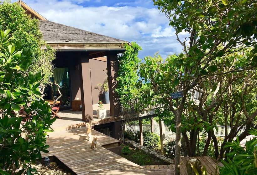 Blue Dream Antigua B&b