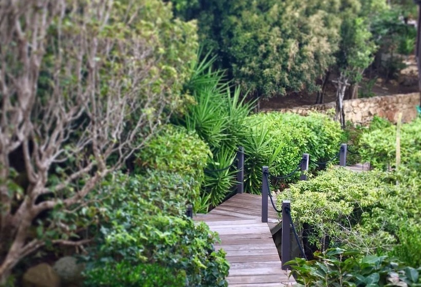 Blue Dream Antigua B&b