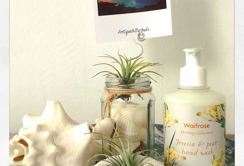 Blue Dream Antigua B&b