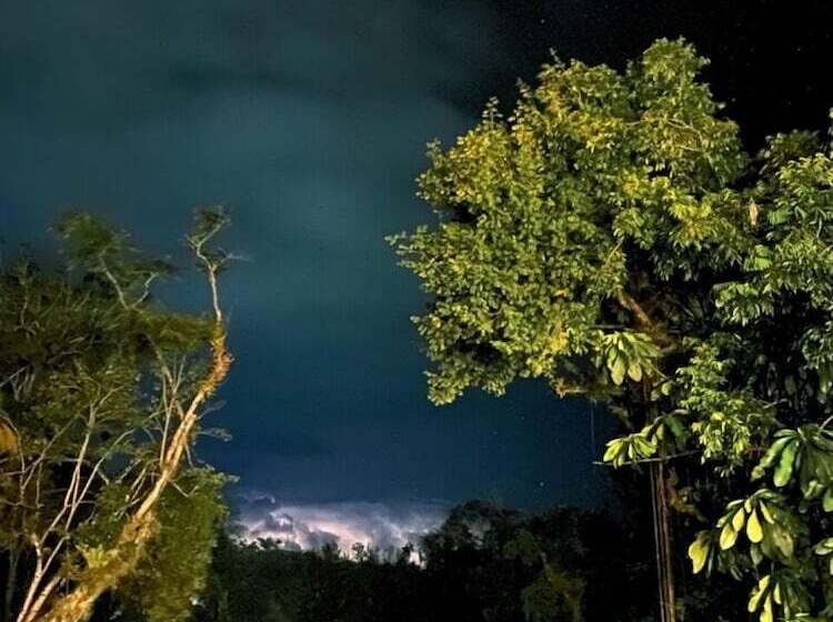 Boatique Hotel And Marina Hostel