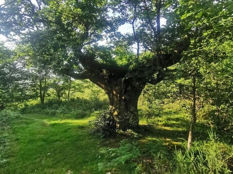 酒店 Posada Rural Peñasagra