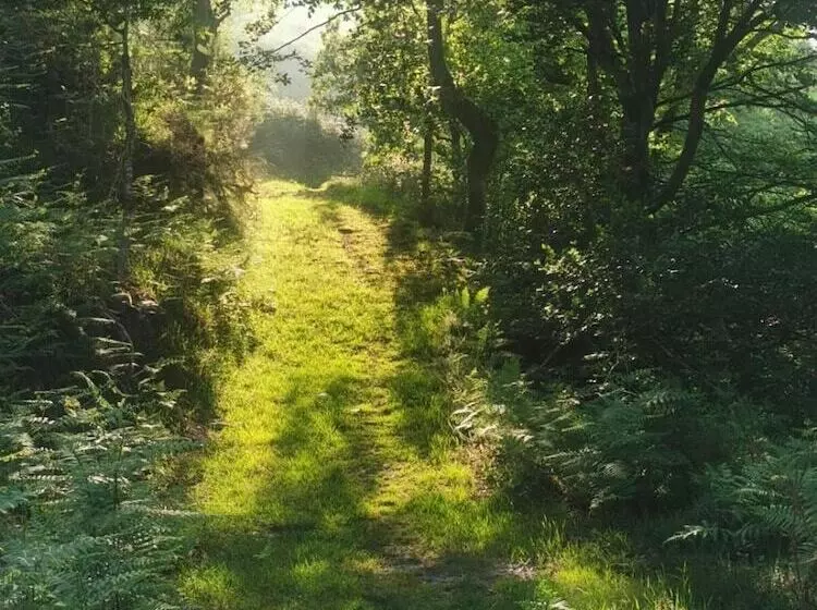 ホテル Posada Rural Peñasagra