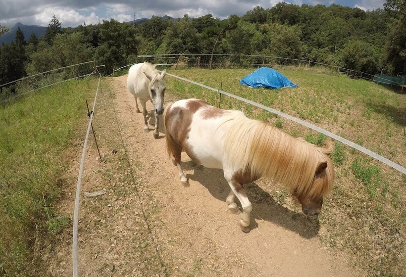 Turisme Rural Mas Romeu.l Alzina