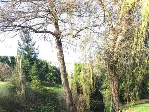 Aamiaismajoitus (B&B) Moulin Notre Dame