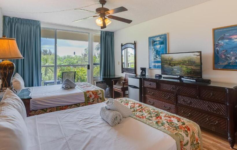 Castle At Maui Banyan