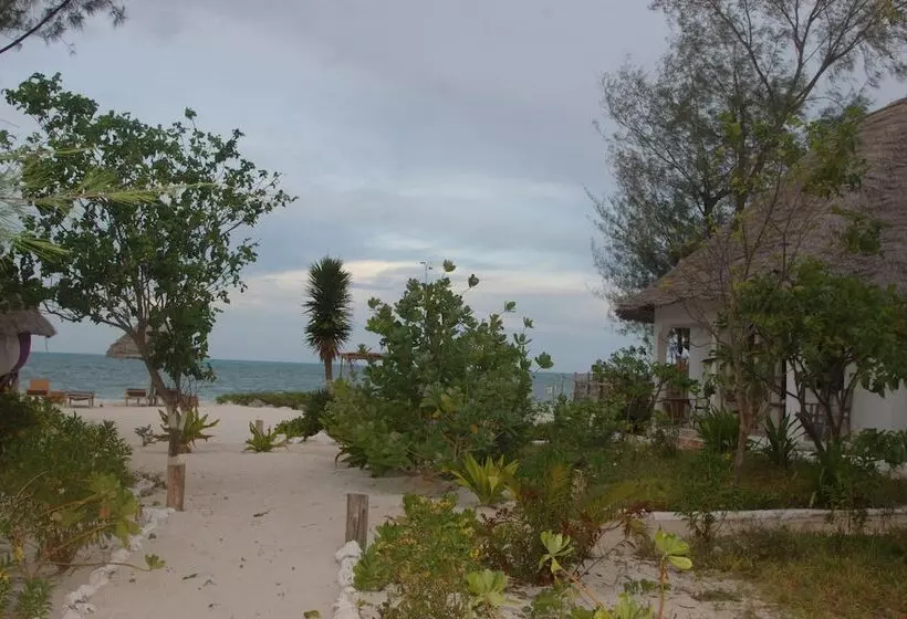 ホテル Blue Earth Beach Bungalow