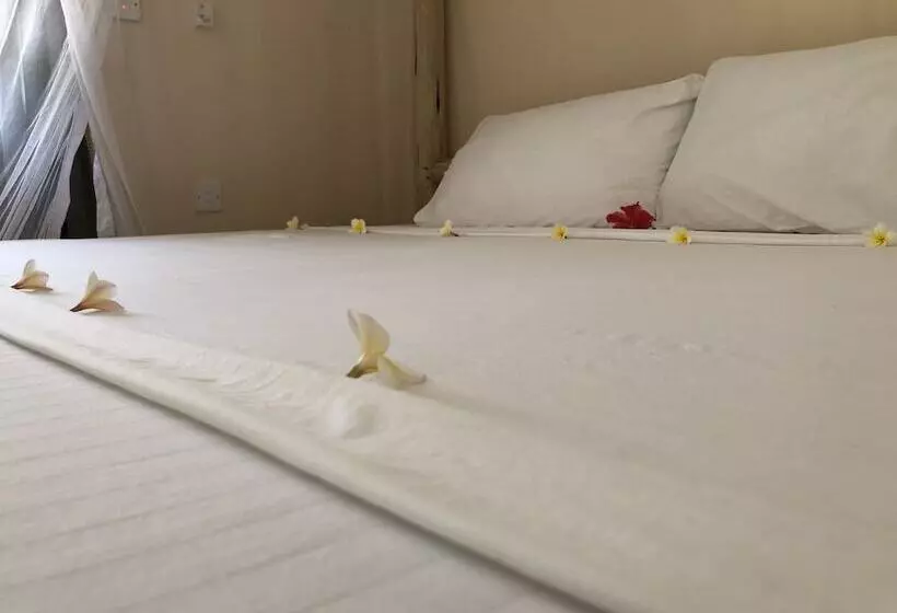 ホテル Blue Earth Beach Bungalow