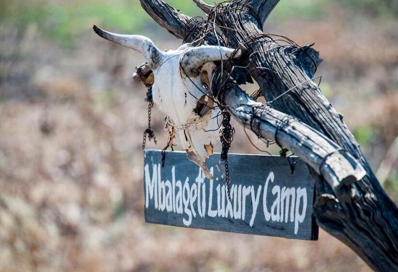 هتل Mbalageti Serengeti