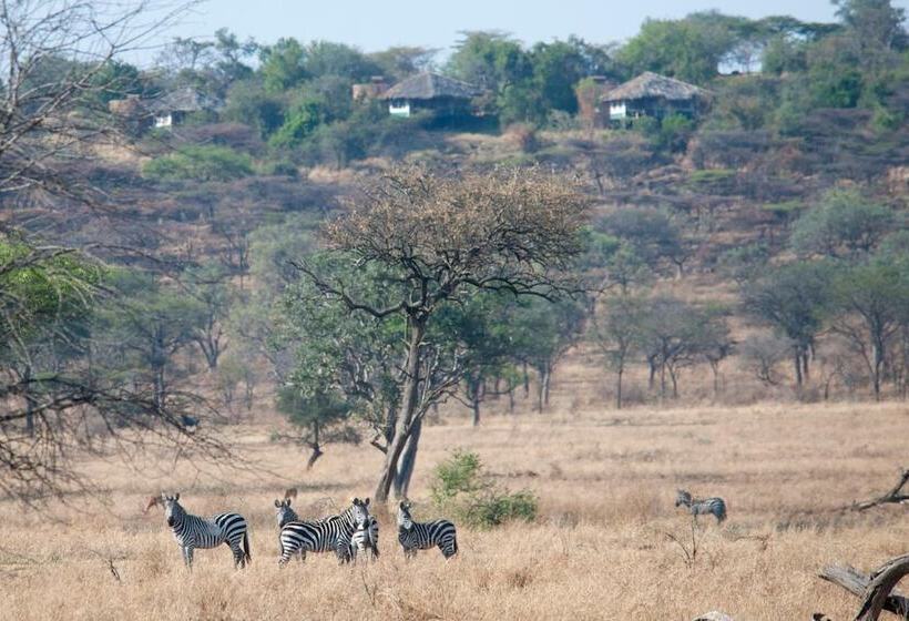 هتل Mbalageti Serengeti