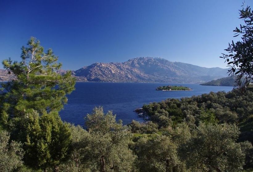 Hotel Silva Oliva  & Farm