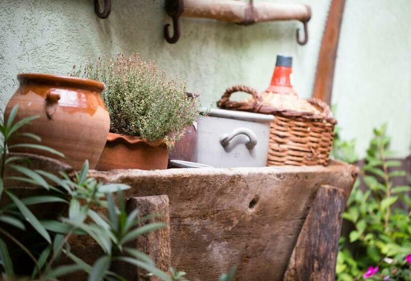 Laterale Residences Riquewihr