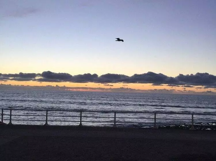 ペンション Cardigan And Celtic Bay Guest House