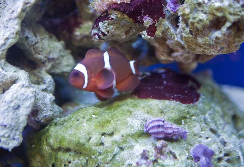 膳宿费 Hawksmoor Guest House