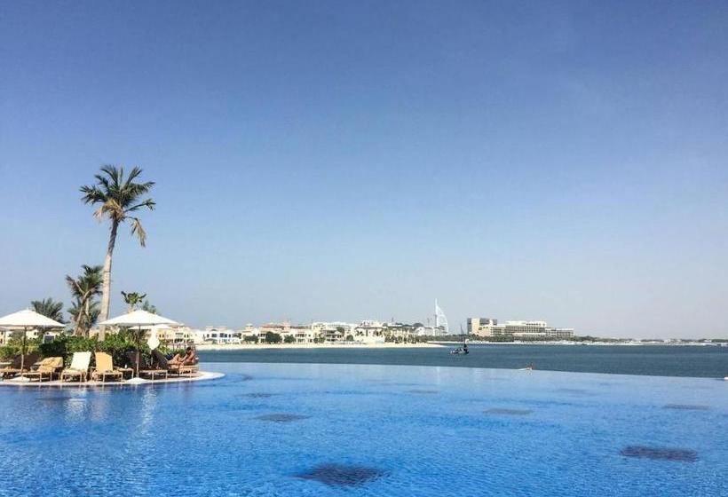 Frank Porter  Tiara Palm