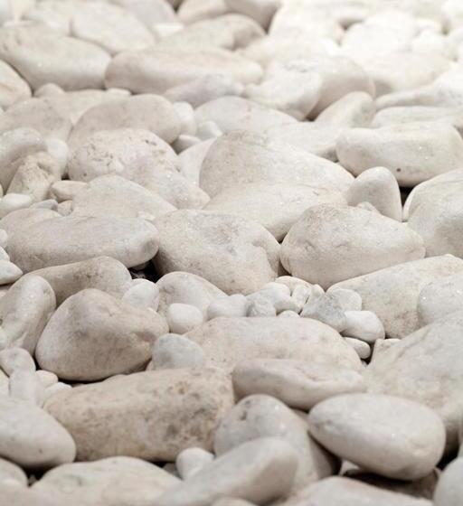 호스텔 Hostal Piteus