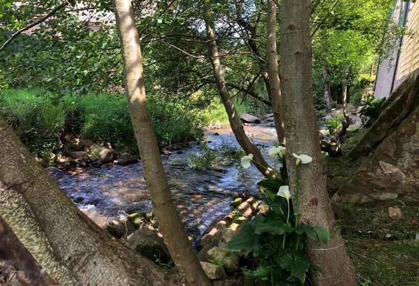 Villa Palatina Superior Hostel