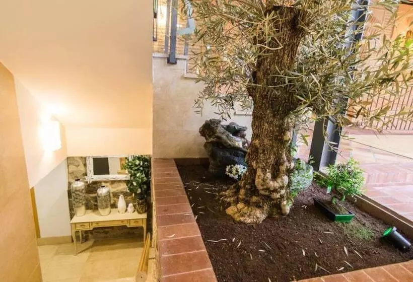 مسافرخانه Antika Snoga