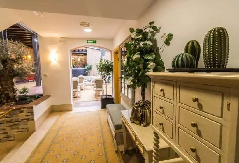 مسافرخانه Antika Snoga