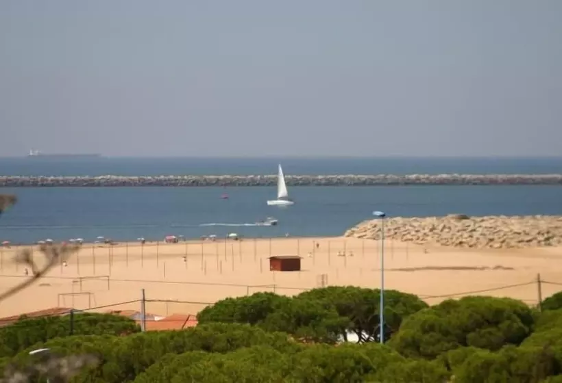 ホテル Camping Doñana   Playa