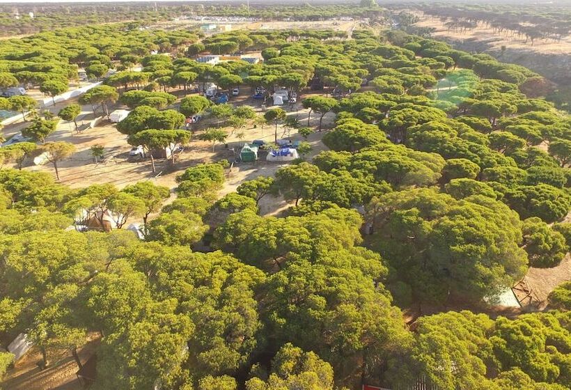 فندق Camping Doñana Playa