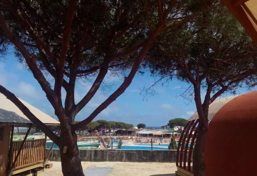 ホテル Camping Doñana   Playa