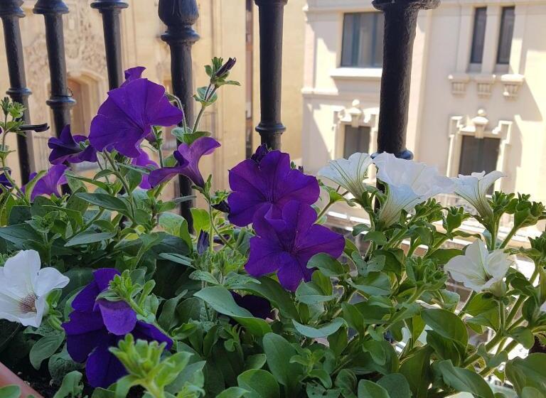 Pensión Entreviñas