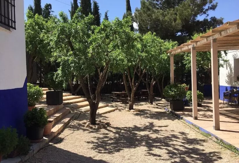 ペンション Finca El Huerto De Dulcinea