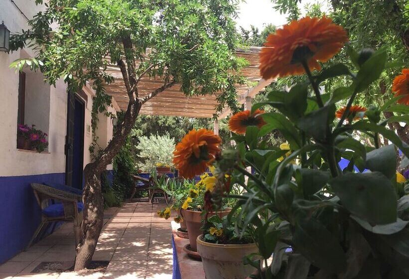 Pensão Finca El Huerto De Dulcinea