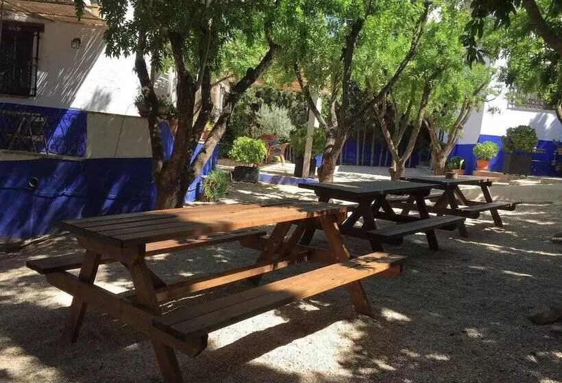 ペンション Finca El Huerto De Dulcinea