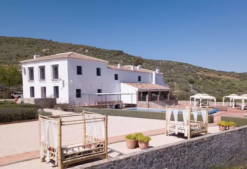 ベッドアンドブレックファースト Cortijo Piltraque   Relais De Charme