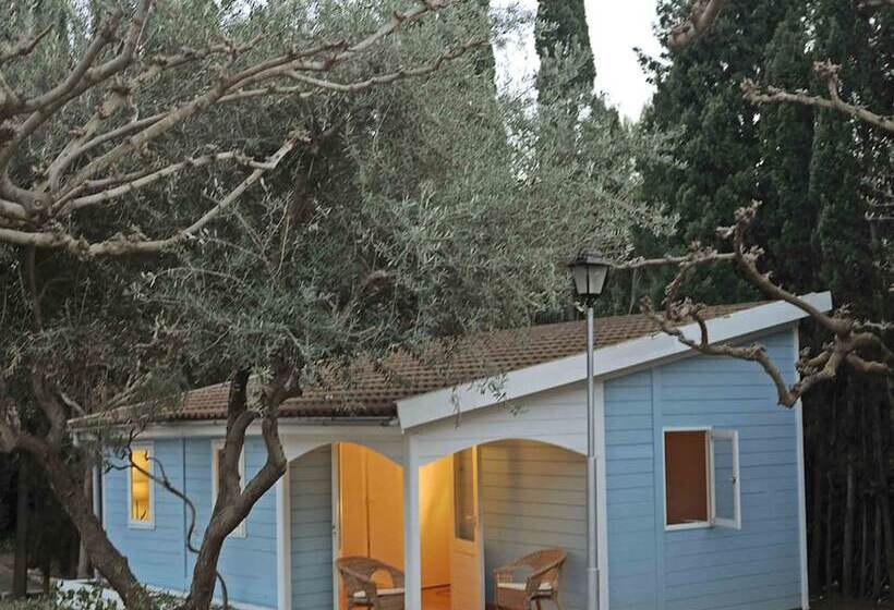 هتل Camping Azahar