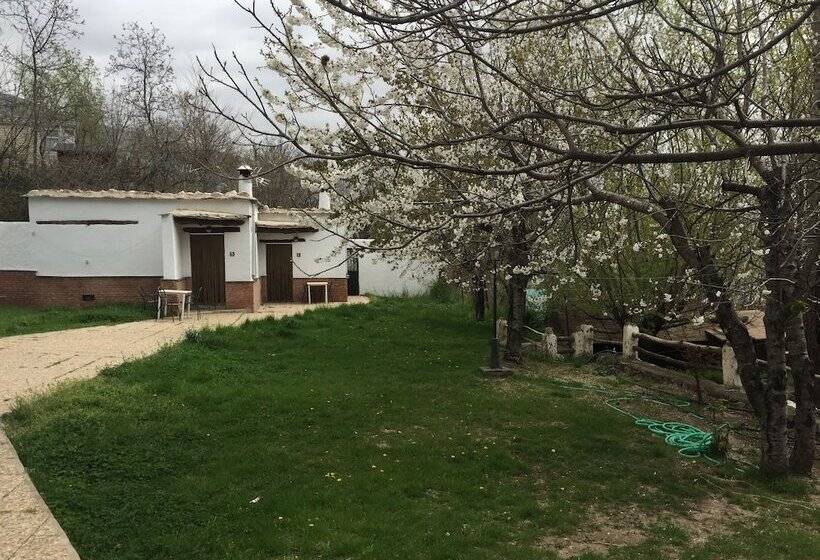 בית מלון כפרי Camping El Balcón De Pitres