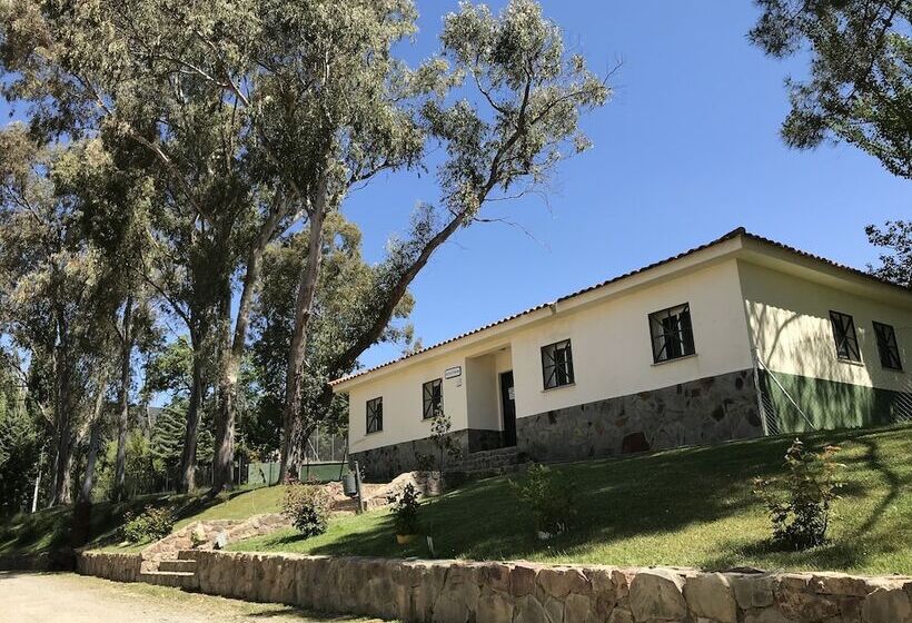 ホテル Complejo Turistico Baños Del Robledillo