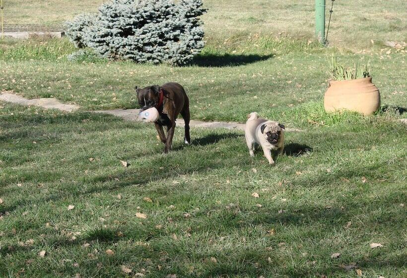 Сельский отель Complex Rural Can Caubet