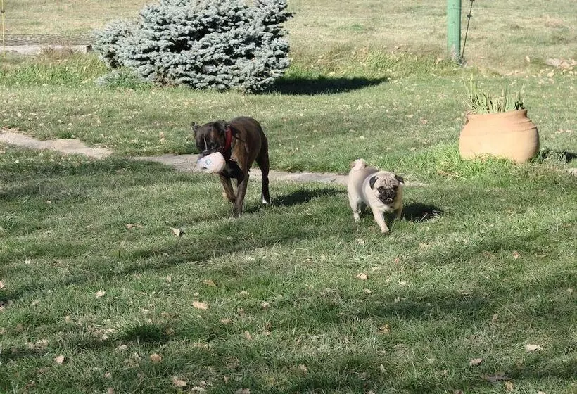 Maaseutuhotelli Complex Rural Can Caubet