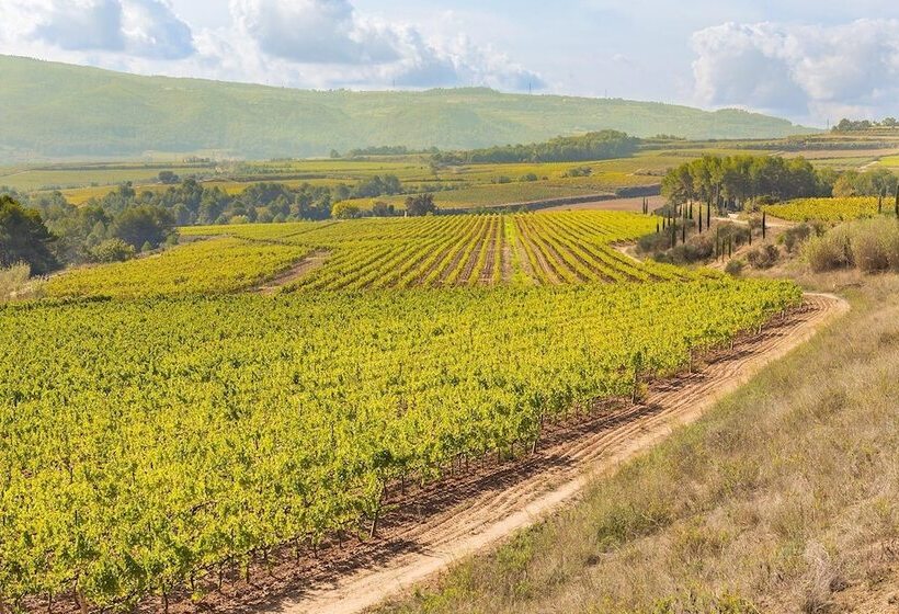 هتل روستایی Masia Can Canyes & Spa