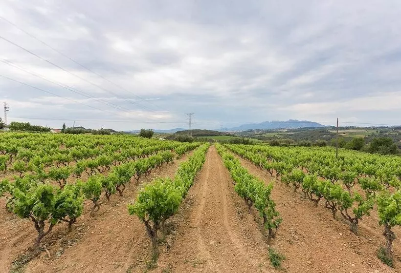 Maaseutuhotelli Masia Can Canyes & Spa