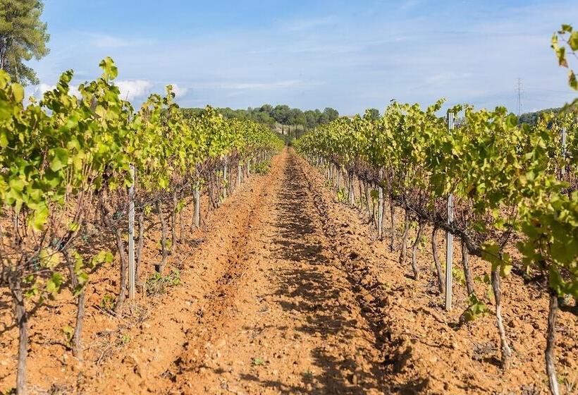 هتل روستایی Masia Can Canyes & Spa