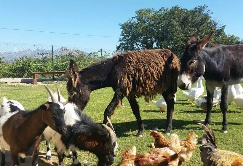 Maaseutuhotelli Masia Can Canyes & Spa